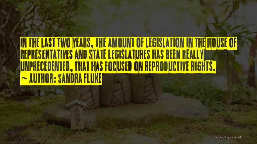 Sandra Fluke Quotes: In The Last Two Years, The Amount Of Legislation In The House Of Representatives And State Legislatures Has Been Really