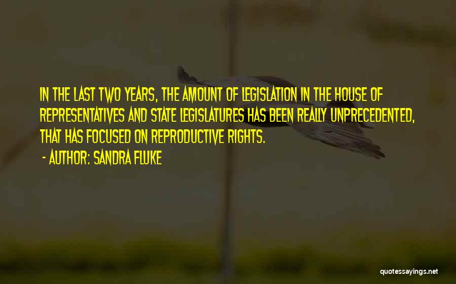 Sandra Fluke Quotes: In The Last Two Years, The Amount Of Legislation In The House Of Representatives And State Legislatures Has Been Really