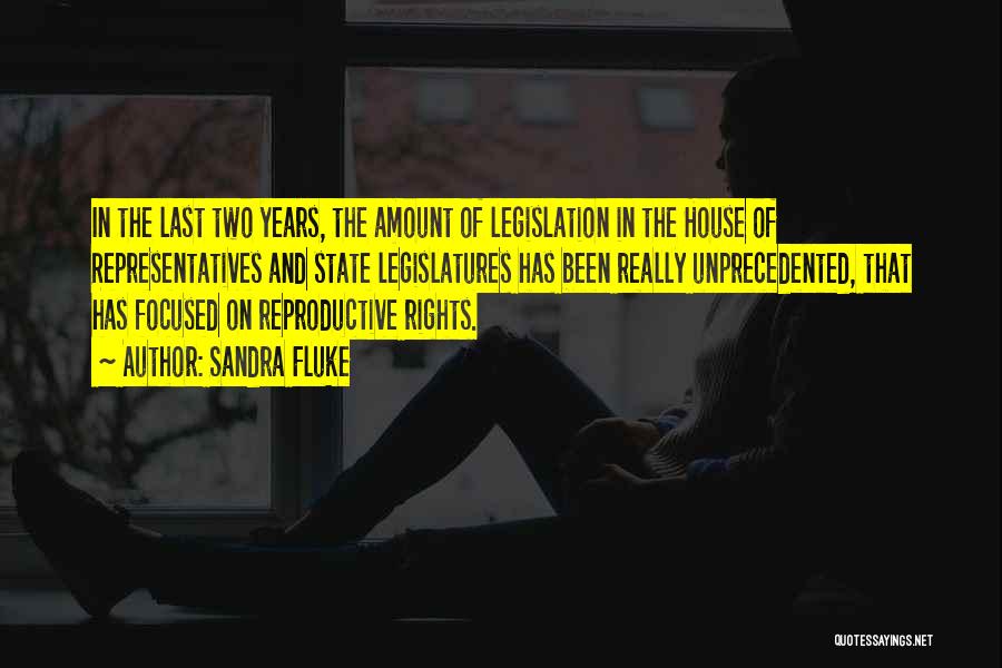 Sandra Fluke Quotes: In The Last Two Years, The Amount Of Legislation In The House Of Representatives And State Legislatures Has Been Really