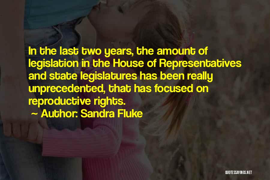 Sandra Fluke Quotes: In The Last Two Years, The Amount Of Legislation In The House Of Representatives And State Legislatures Has Been Really