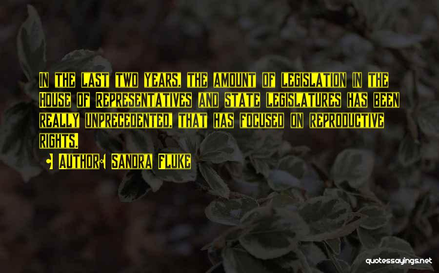 Sandra Fluke Quotes: In The Last Two Years, The Amount Of Legislation In The House Of Representatives And State Legislatures Has Been Really