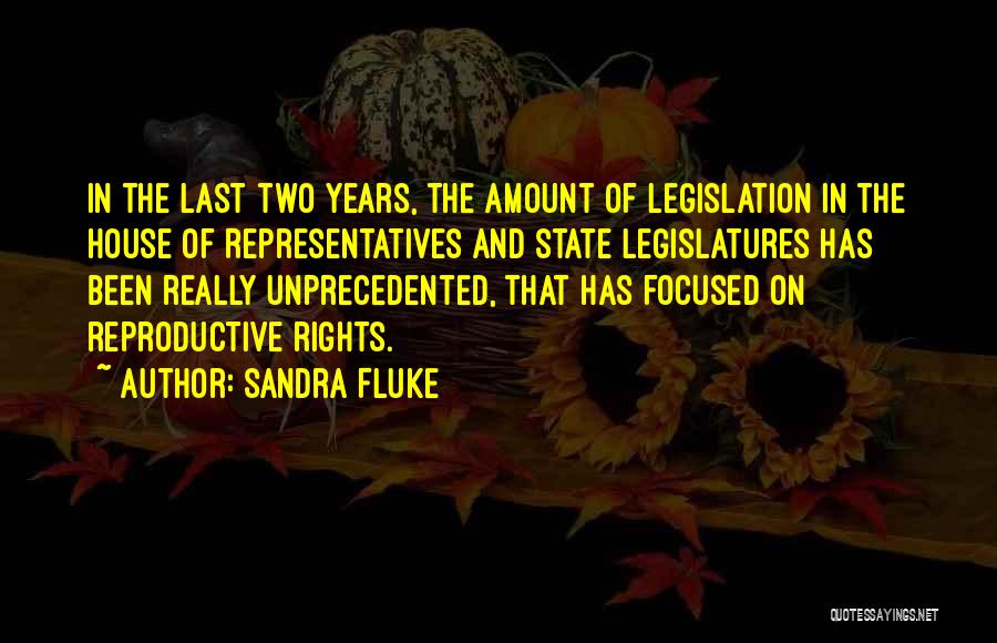 Sandra Fluke Quotes: In The Last Two Years, The Amount Of Legislation In The House Of Representatives And State Legislatures Has Been Really