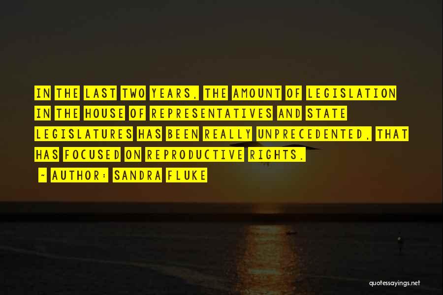 Sandra Fluke Quotes: In The Last Two Years, The Amount Of Legislation In The House Of Representatives And State Legislatures Has Been Really