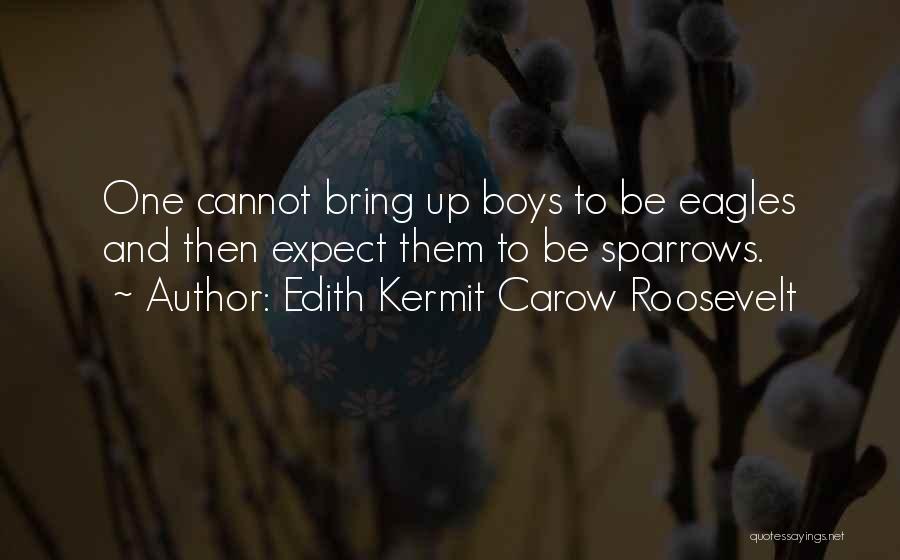 Edith Kermit Carow Roosevelt Quotes: One Cannot Bring Up Boys To Be Eagles And Then Expect Them To Be Sparrows.