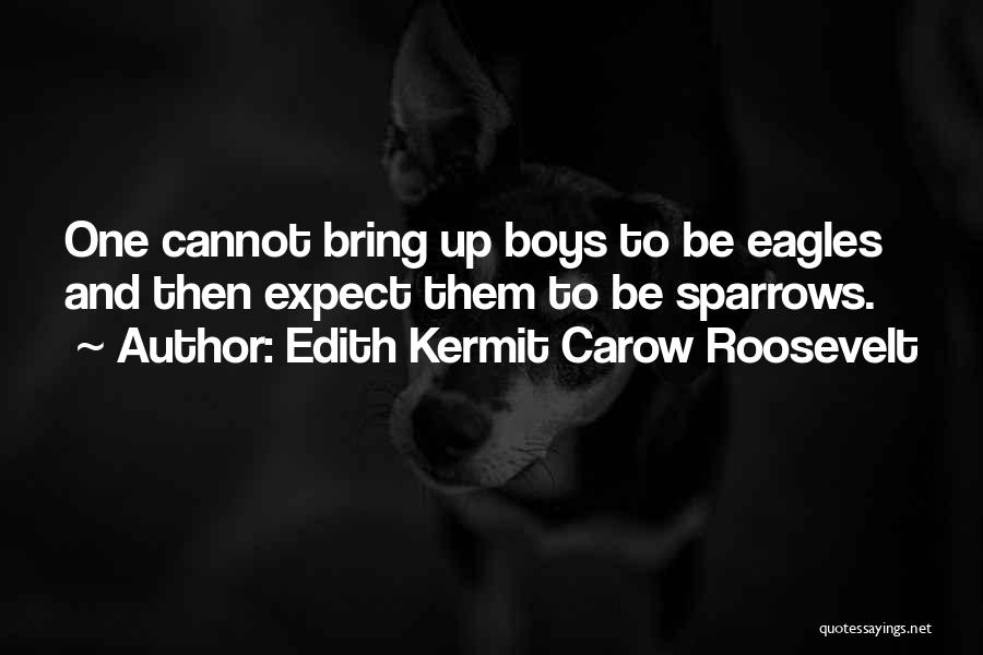 Edith Kermit Carow Roosevelt Quotes: One Cannot Bring Up Boys To Be Eagles And Then Expect Them To Be Sparrows.