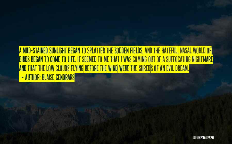 Blaise Cendrars Quotes: A Mud-stained Sunlight Began To Splatter The Sodden Fields, And The Hateful, Nasal World Of Birds Began To Come To