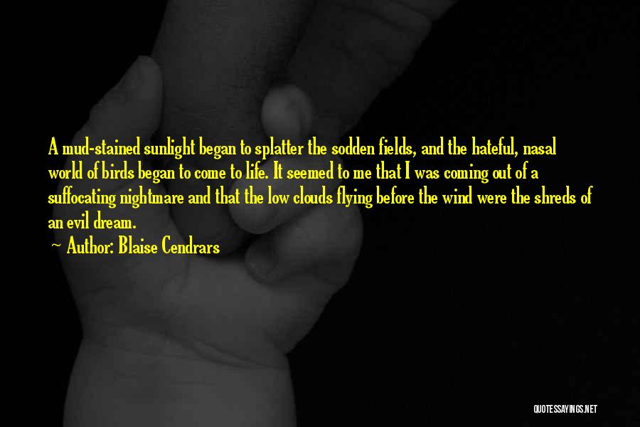 Blaise Cendrars Quotes: A Mud-stained Sunlight Began To Splatter The Sodden Fields, And The Hateful, Nasal World Of Birds Began To Come To