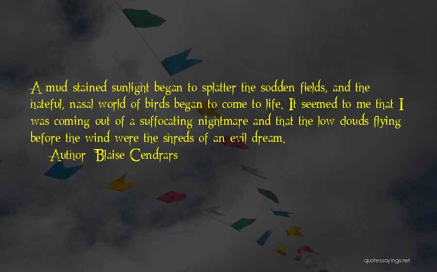 Blaise Cendrars Quotes: A Mud-stained Sunlight Began To Splatter The Sodden Fields, And The Hateful, Nasal World Of Birds Began To Come To