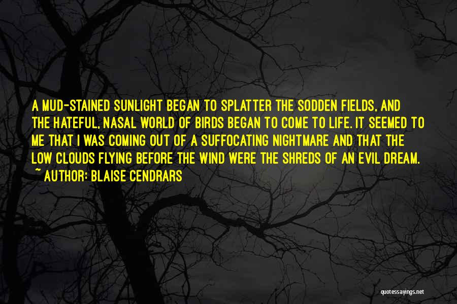 Blaise Cendrars Quotes: A Mud-stained Sunlight Began To Splatter The Sodden Fields, And The Hateful, Nasal World Of Birds Began To Come To