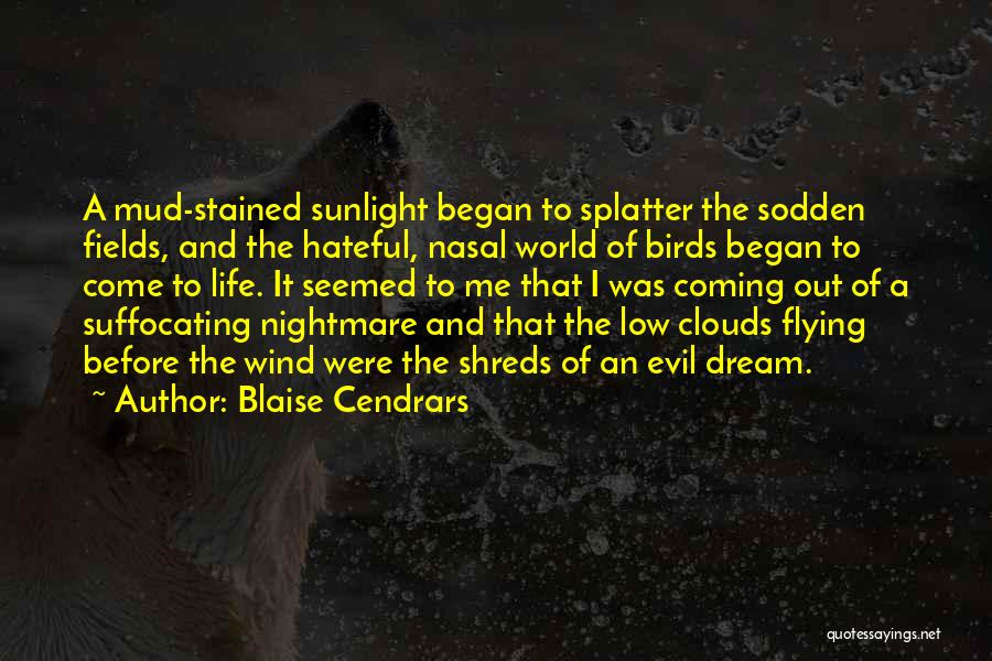 Blaise Cendrars Quotes: A Mud-stained Sunlight Began To Splatter The Sodden Fields, And The Hateful, Nasal World Of Birds Began To Come To