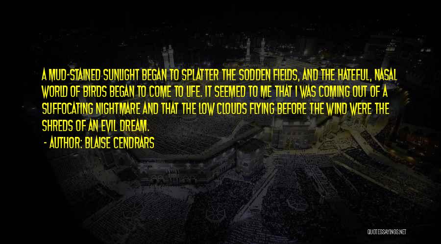 Blaise Cendrars Quotes: A Mud-stained Sunlight Began To Splatter The Sodden Fields, And The Hateful, Nasal World Of Birds Began To Come To