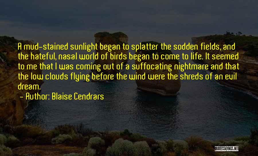 Blaise Cendrars Quotes: A Mud-stained Sunlight Began To Splatter The Sodden Fields, And The Hateful, Nasal World Of Birds Began To Come To