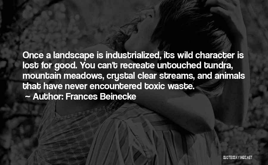 Frances Beinecke Quotes: Once A Landscape Is Industrialized, Its Wild Character Is Lost For Good. You Can't Recreate Untouched Tundra, Mountain Meadows, Crystal