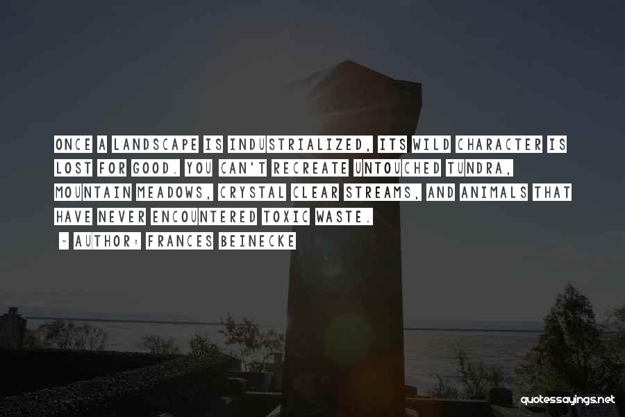 Frances Beinecke Quotes: Once A Landscape Is Industrialized, Its Wild Character Is Lost For Good. You Can't Recreate Untouched Tundra, Mountain Meadows, Crystal