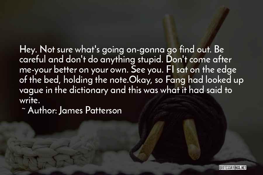 James Patterson Quotes: Hey. Not Sure What's Going On-gonna Go Find Out. Be Careful And Don't Do Anything Stupid. Don't Come After Me-your