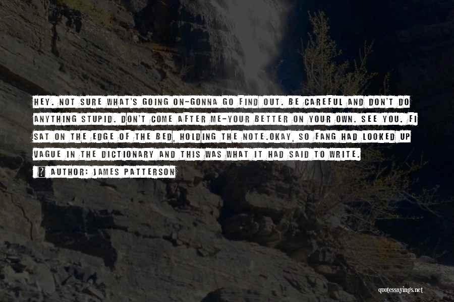 James Patterson Quotes: Hey. Not Sure What's Going On-gonna Go Find Out. Be Careful And Don't Do Anything Stupid. Don't Come After Me-your