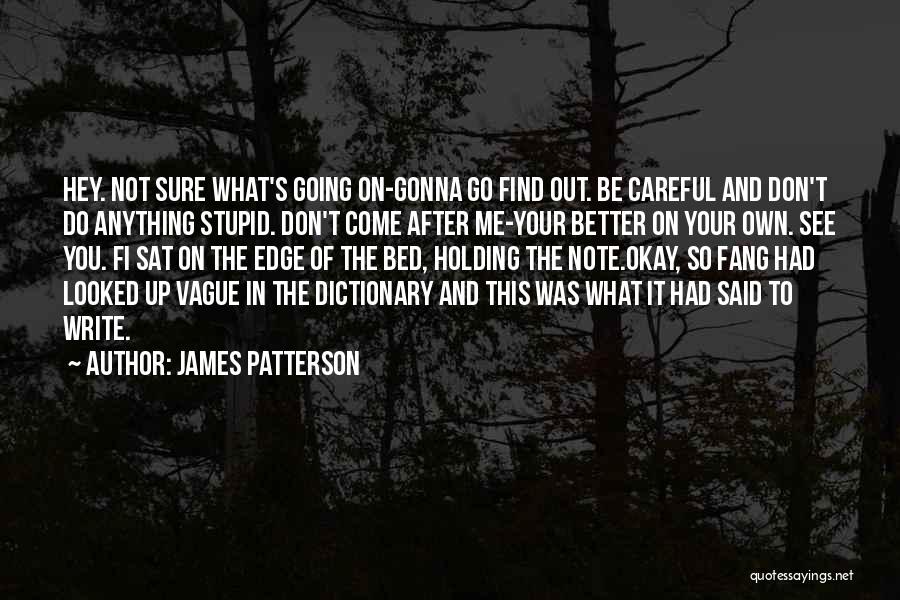 James Patterson Quotes: Hey. Not Sure What's Going On-gonna Go Find Out. Be Careful And Don't Do Anything Stupid. Don't Come After Me-your