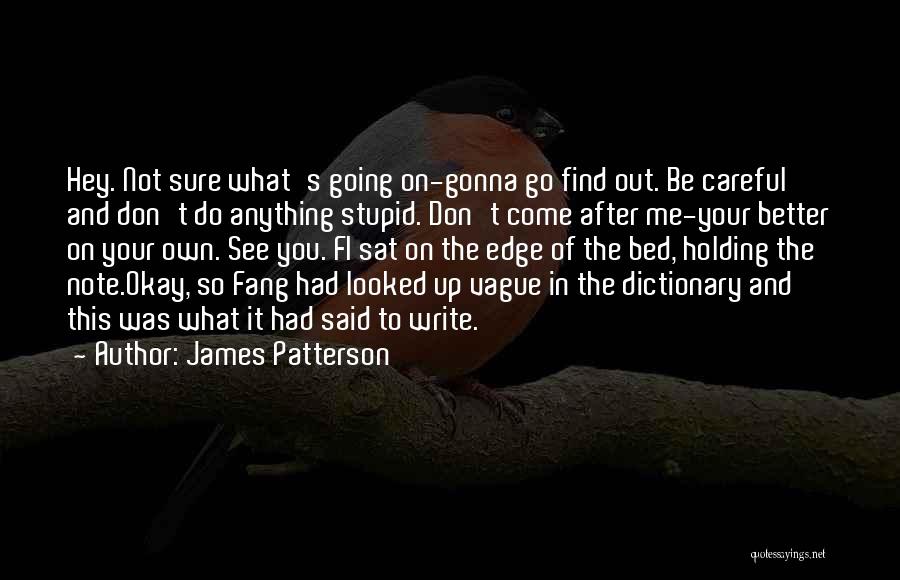 James Patterson Quotes: Hey. Not Sure What's Going On-gonna Go Find Out. Be Careful And Don't Do Anything Stupid. Don't Come After Me-your