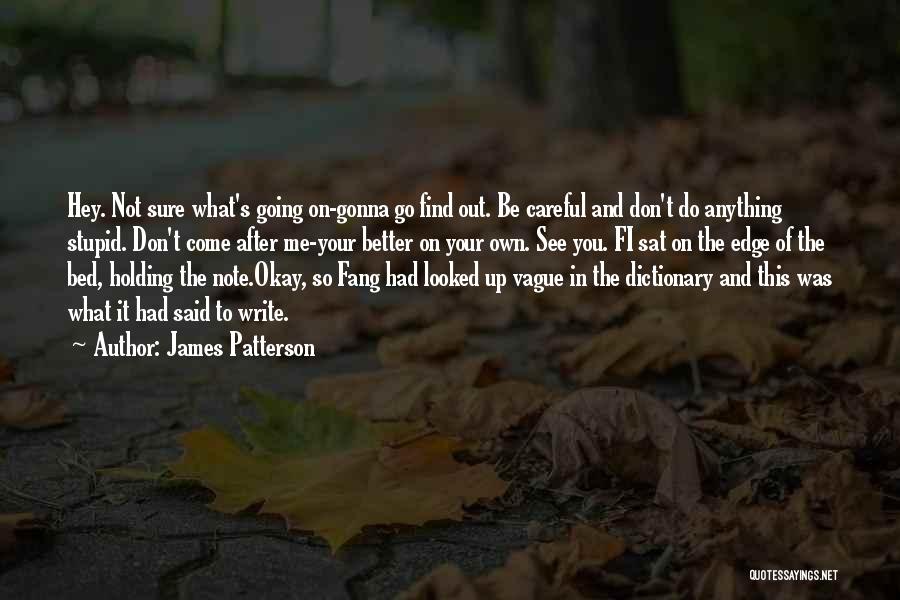 James Patterson Quotes: Hey. Not Sure What's Going On-gonna Go Find Out. Be Careful And Don't Do Anything Stupid. Don't Come After Me-your