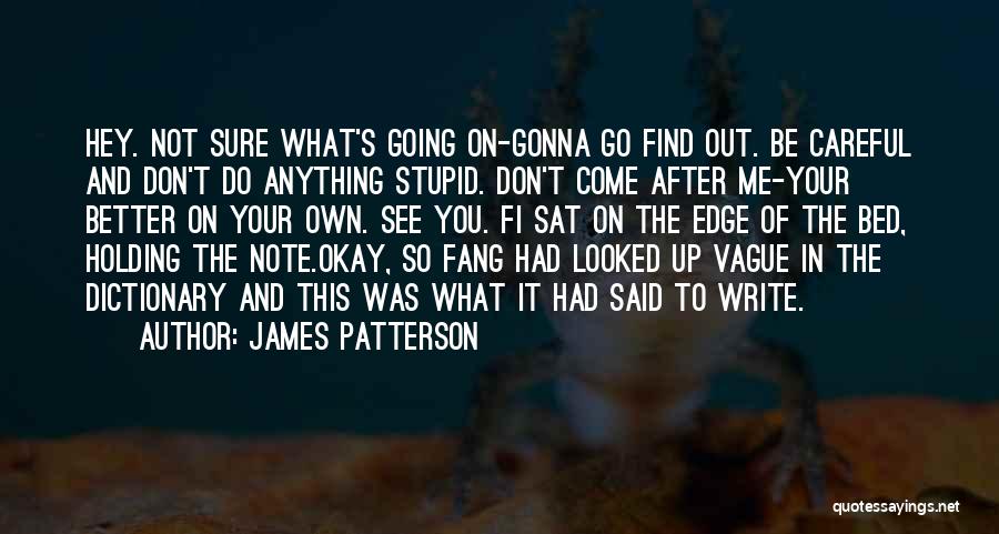 James Patterson Quotes: Hey. Not Sure What's Going On-gonna Go Find Out. Be Careful And Don't Do Anything Stupid. Don't Come After Me-your