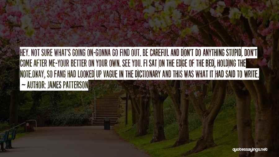 James Patterson Quotes: Hey. Not Sure What's Going On-gonna Go Find Out. Be Careful And Don't Do Anything Stupid. Don't Come After Me-your