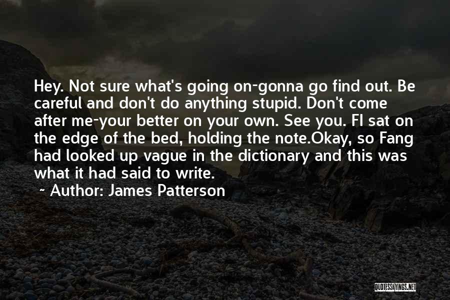 James Patterson Quotes: Hey. Not Sure What's Going On-gonna Go Find Out. Be Careful And Don't Do Anything Stupid. Don't Come After Me-your