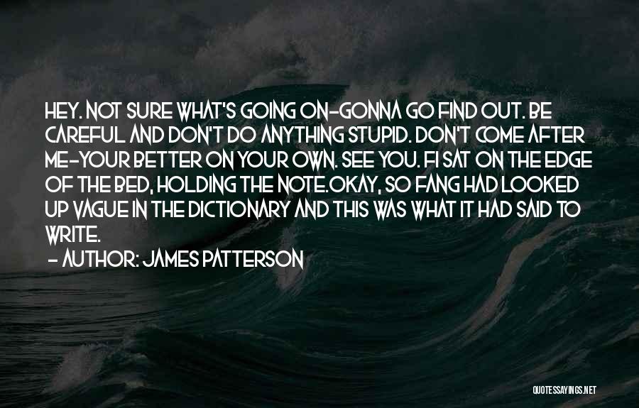 James Patterson Quotes: Hey. Not Sure What's Going On-gonna Go Find Out. Be Careful And Don't Do Anything Stupid. Don't Come After Me-your