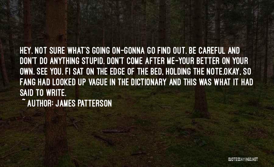 James Patterson Quotes: Hey. Not Sure What's Going On-gonna Go Find Out. Be Careful And Don't Do Anything Stupid. Don't Come After Me-your