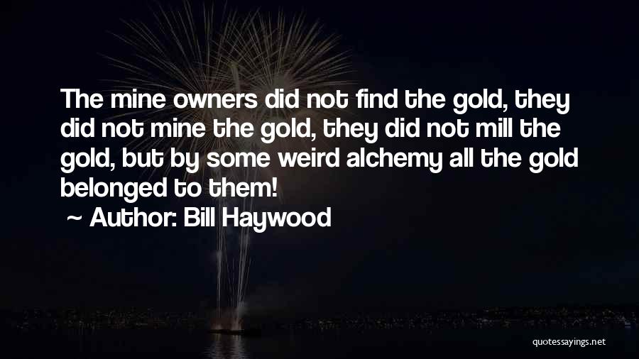 Bill Haywood Quotes: The Mine Owners Did Not Find The Gold, They Did Not Mine The Gold, They Did Not Mill The Gold,