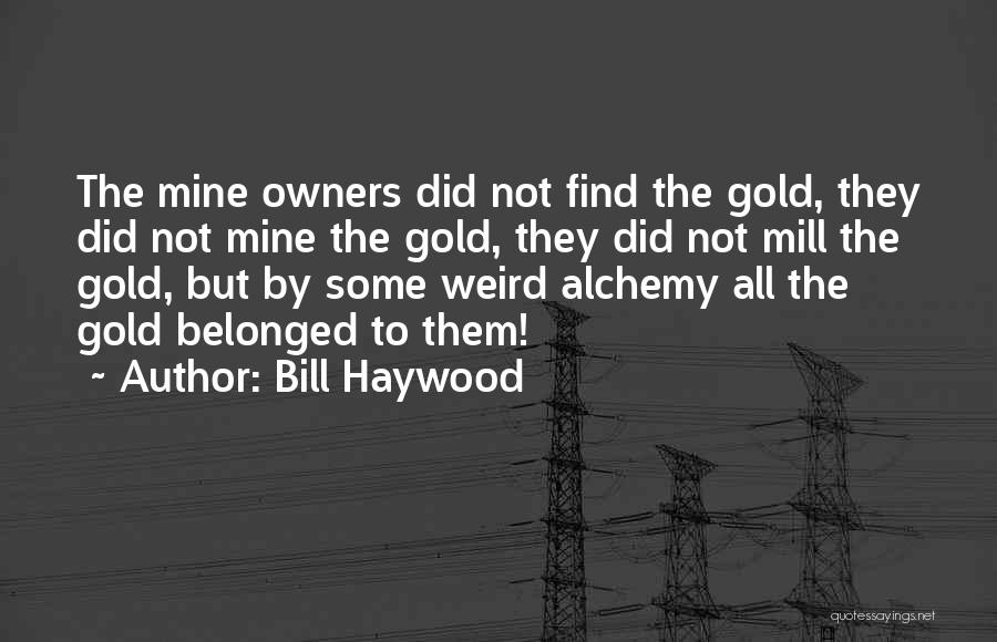 Bill Haywood Quotes: The Mine Owners Did Not Find The Gold, They Did Not Mine The Gold, They Did Not Mill The Gold,