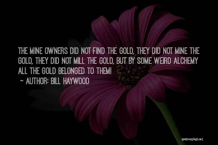 Bill Haywood Quotes: The Mine Owners Did Not Find The Gold, They Did Not Mine The Gold, They Did Not Mill The Gold,