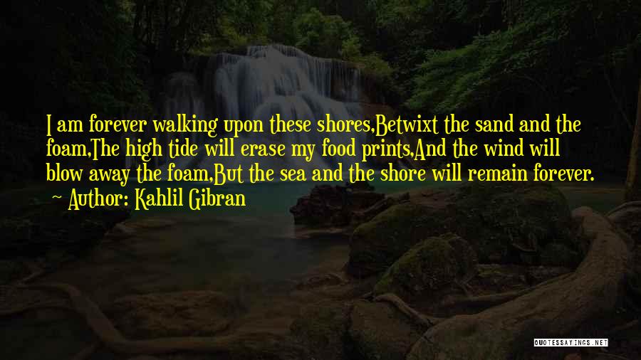 Kahlil Gibran Quotes: I Am Forever Walking Upon These Shores,betwixt The Sand And The Foam,the High Tide Will Erase My Food Prints,and The