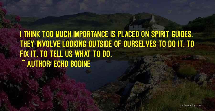 Echo Bodine Quotes: I Think Too Much Importance Is Placed On Spirit Guides. They Involve Looking Outside Of Ourselves To Do It, To