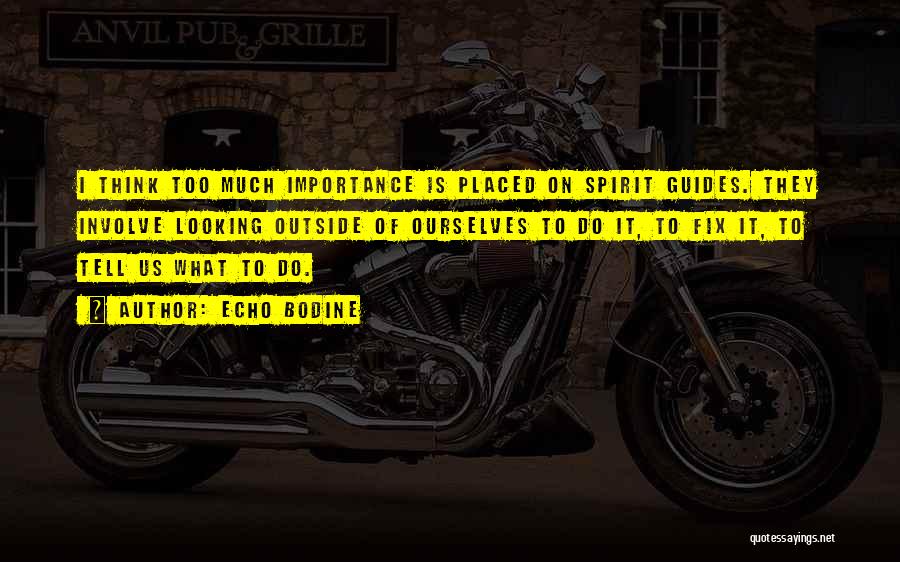 Echo Bodine Quotes: I Think Too Much Importance Is Placed On Spirit Guides. They Involve Looking Outside Of Ourselves To Do It, To