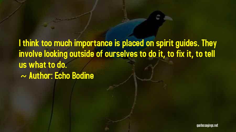 Echo Bodine Quotes: I Think Too Much Importance Is Placed On Spirit Guides. They Involve Looking Outside Of Ourselves To Do It, To