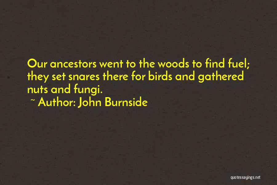 John Burnside Quotes: Our Ancestors Went To The Woods To Find Fuel; They Set Snares There For Birds And Gathered Nuts And Fungi.