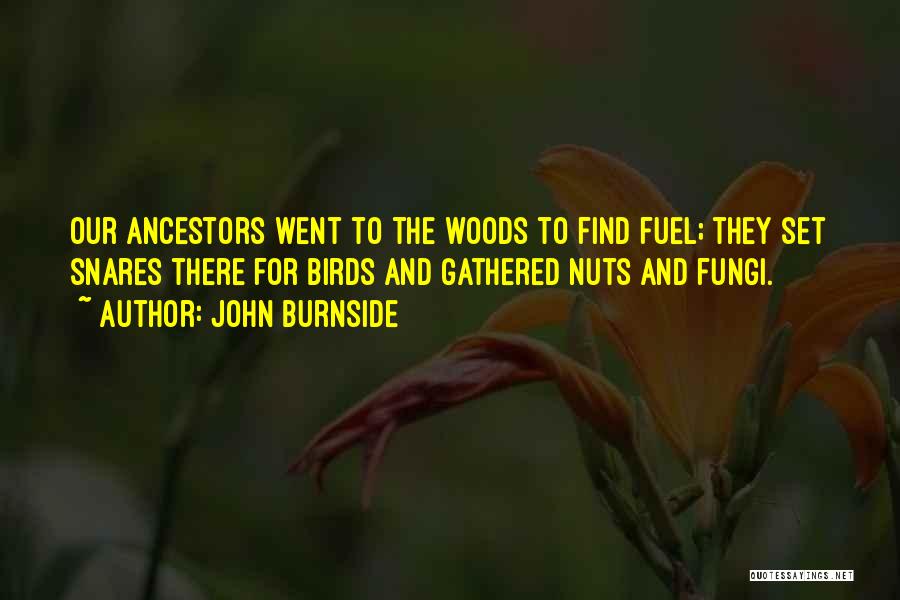 John Burnside Quotes: Our Ancestors Went To The Woods To Find Fuel; They Set Snares There For Birds And Gathered Nuts And Fungi.
