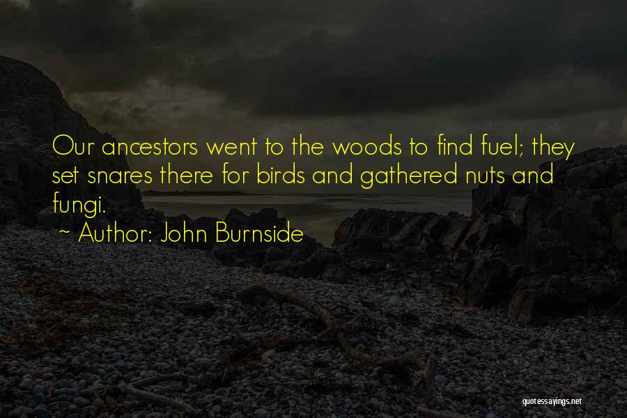 John Burnside Quotes: Our Ancestors Went To The Woods To Find Fuel; They Set Snares There For Birds And Gathered Nuts And Fungi.