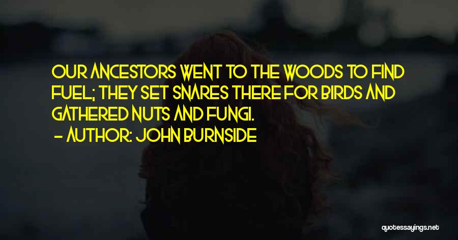 John Burnside Quotes: Our Ancestors Went To The Woods To Find Fuel; They Set Snares There For Birds And Gathered Nuts And Fungi.