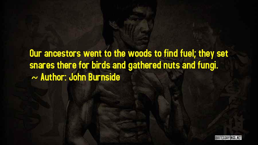 John Burnside Quotes: Our Ancestors Went To The Woods To Find Fuel; They Set Snares There For Birds And Gathered Nuts And Fungi.