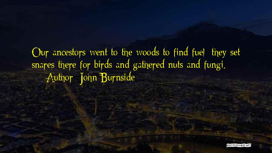 John Burnside Quotes: Our Ancestors Went To The Woods To Find Fuel; They Set Snares There For Birds And Gathered Nuts And Fungi.
