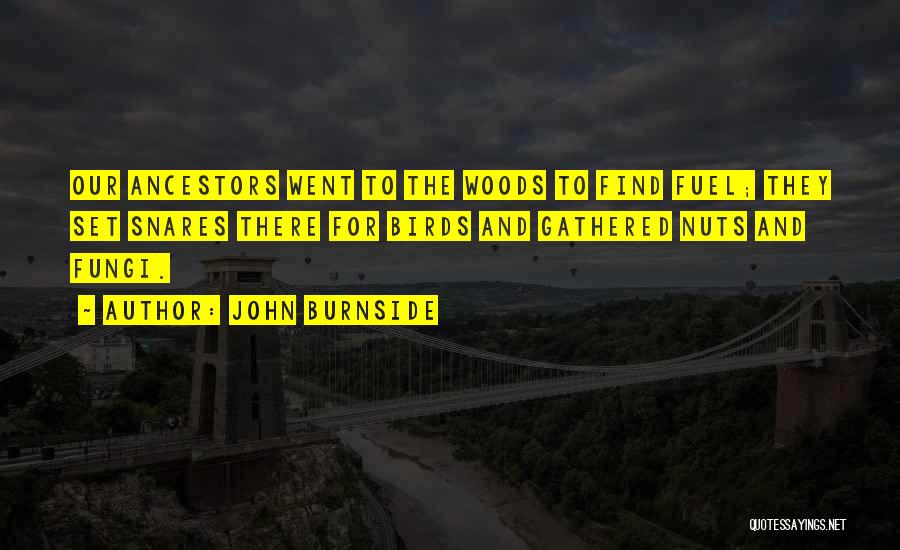 John Burnside Quotes: Our Ancestors Went To The Woods To Find Fuel; They Set Snares There For Birds And Gathered Nuts And Fungi.