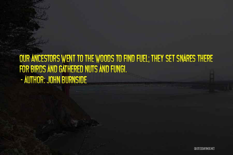 John Burnside Quotes: Our Ancestors Went To The Woods To Find Fuel; They Set Snares There For Birds And Gathered Nuts And Fungi.