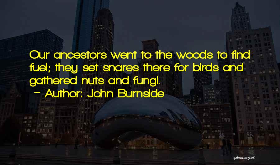 John Burnside Quotes: Our Ancestors Went To The Woods To Find Fuel; They Set Snares There For Birds And Gathered Nuts And Fungi.