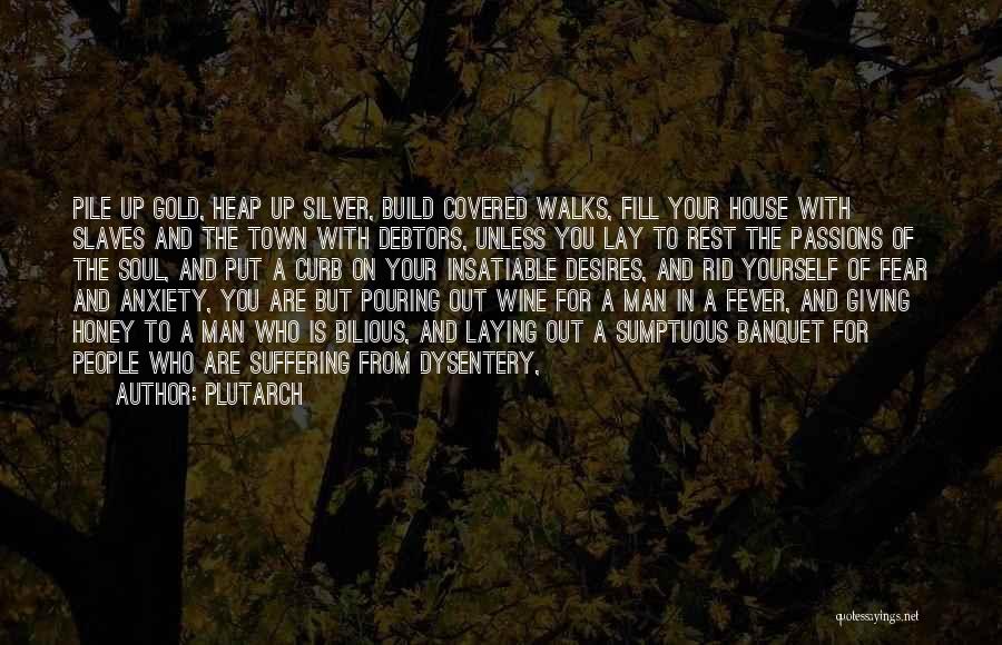 Plutarch Quotes: Pile Up Gold, Heap Up Silver, Build Covered Walks, Fill Your House With Slaves And The Town With Debtors, Unless