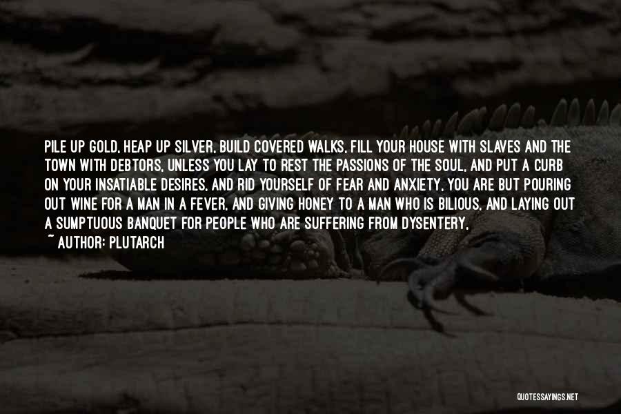 Plutarch Quotes: Pile Up Gold, Heap Up Silver, Build Covered Walks, Fill Your House With Slaves And The Town With Debtors, Unless