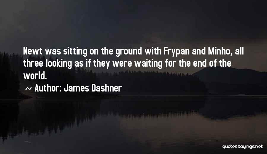 James Dashner Quotes: Newt Was Sitting On The Ground With Frypan And Minho, All Three Looking As If They Were Waiting For The