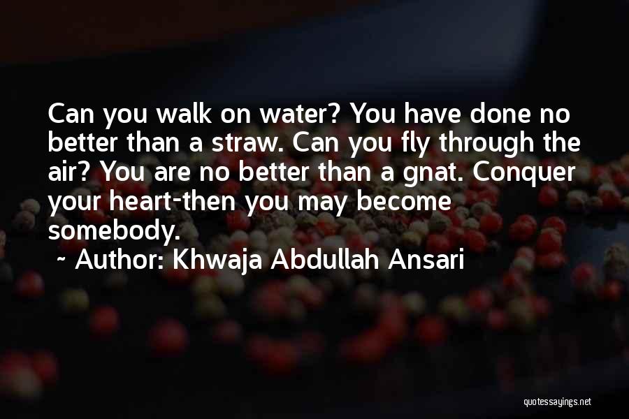 Khwaja Abdullah Ansari Quotes: Can You Walk On Water? You Have Done No Better Than A Straw. Can You Fly Through The Air? You