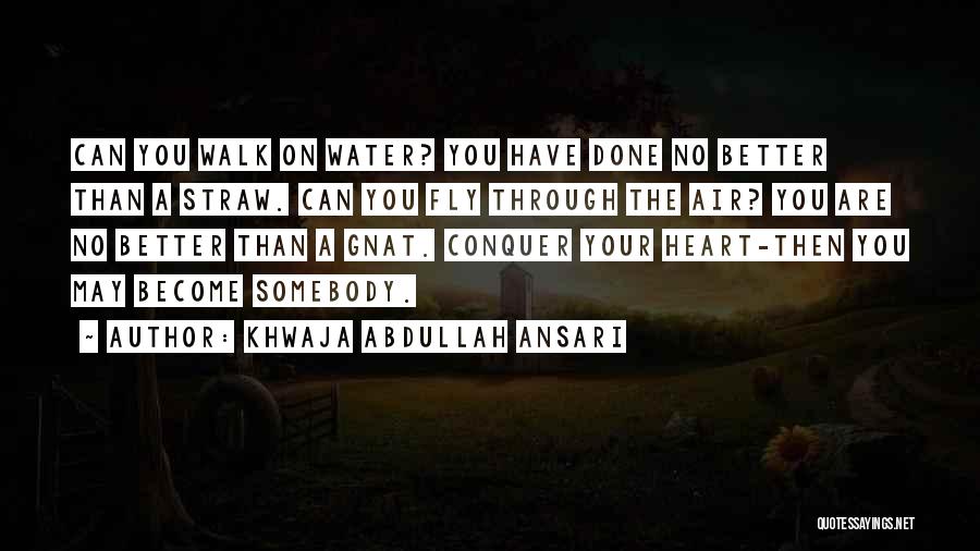 Khwaja Abdullah Ansari Quotes: Can You Walk On Water? You Have Done No Better Than A Straw. Can You Fly Through The Air? You