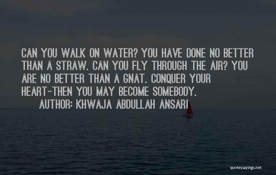 Khwaja Abdullah Ansari Quotes: Can You Walk On Water? You Have Done No Better Than A Straw. Can You Fly Through The Air? You